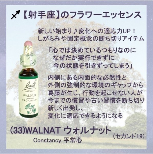 画像3: 【射手座】のフラワーレメディーセット 《01アグリモニー(本心)+33ウォルナット(平常心)》 (3)