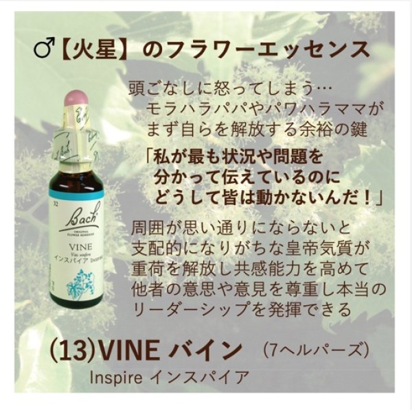画像2: 【火星】のフラワーレメディーセット 《32バイン(インスパイア)+03ビーチ(寛容)》 (2)
